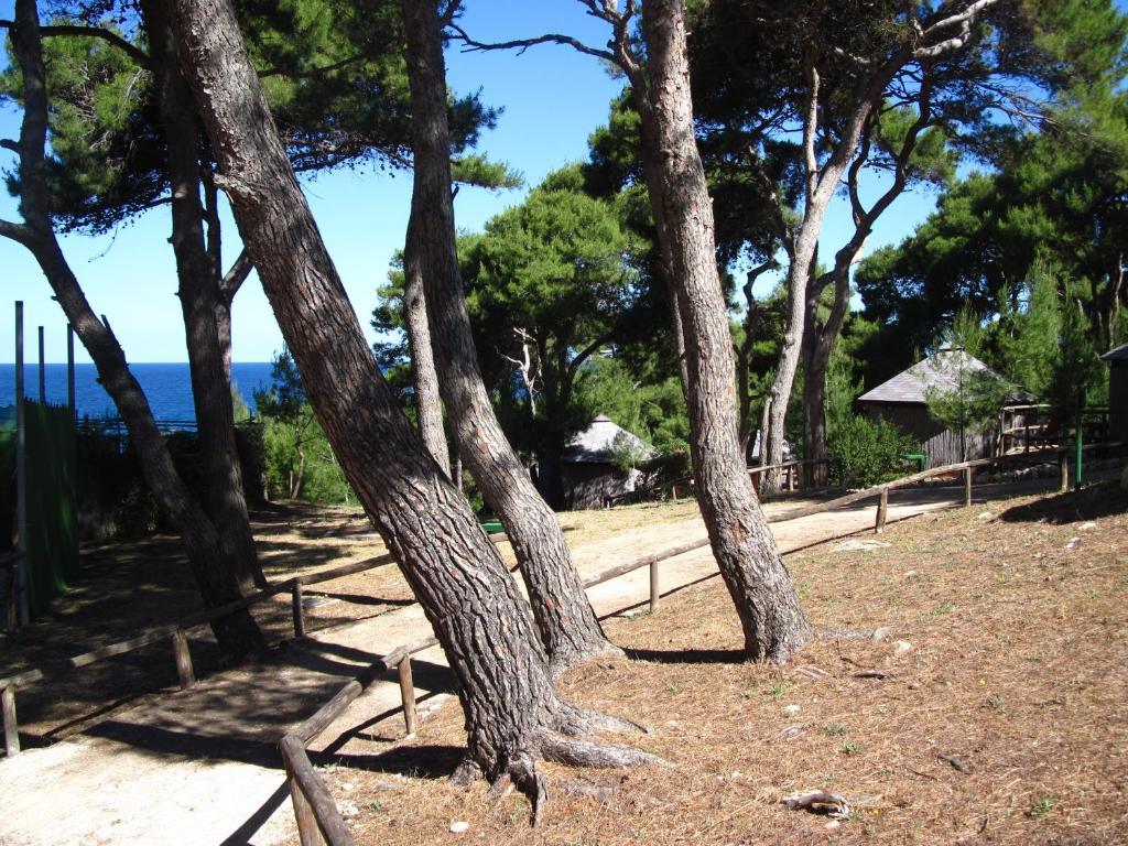 Hotel Touring Club Italiano - Isole Tremiti San Domino Esterno foto